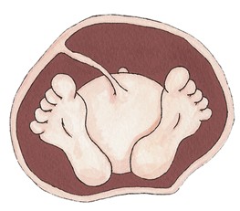 AWHONN Intermediate Fetal Monitoring Classes