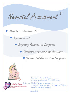 Intermediate fetal monitoring online course work