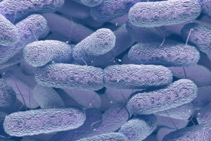 Klebsiella pneumoniae for nurses