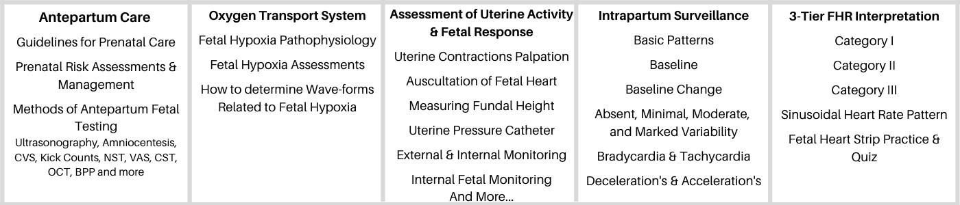 fetal heart tone monitor